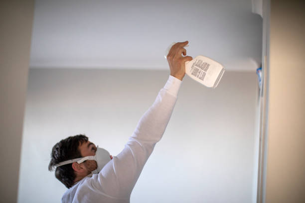 Certified Mold Removal in Verona, KY