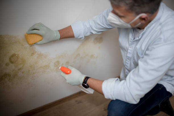 Water Damage Restoration in Verona, KY
